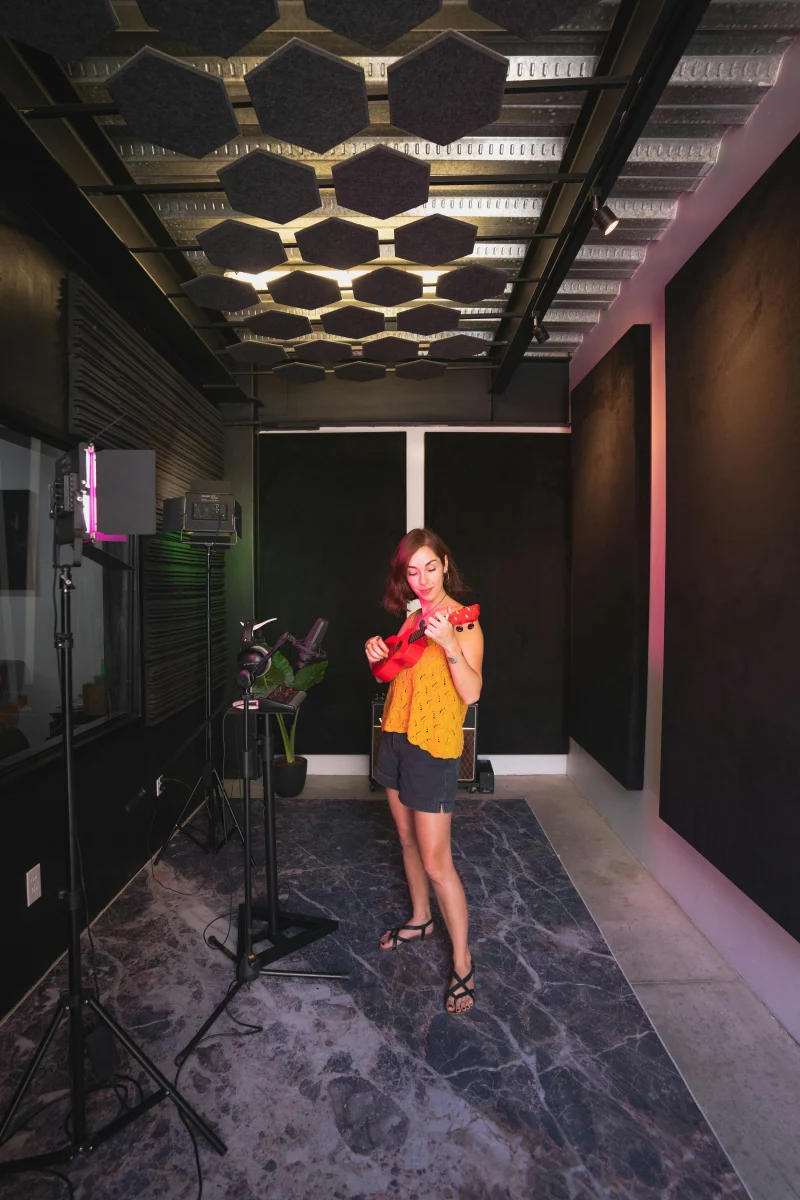 Acoustic Panels